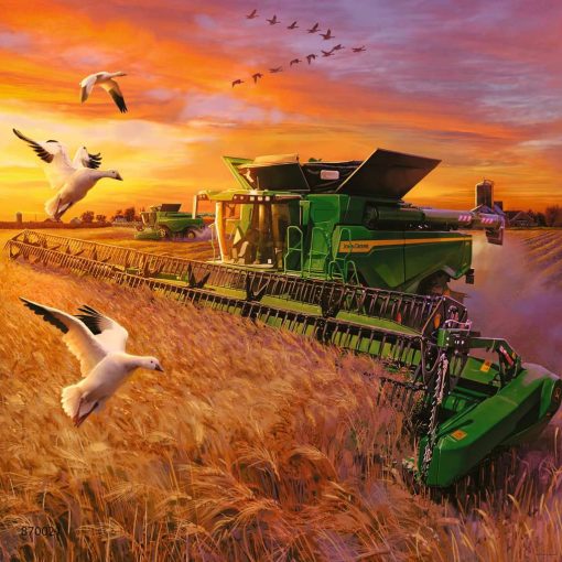 Seasons of John Deere 3 x 49pc - Image 4