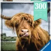 Puzzle Moments: Highland Cattle - 300 Pieces Puzzle