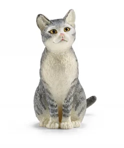 Cat Sitting