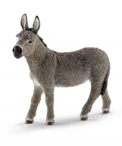 Donkey
