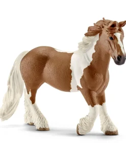 Tinker Mare