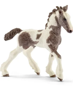 Tinker Foal