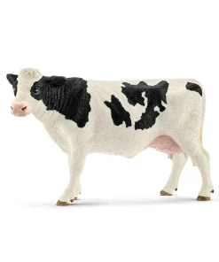 Holstein Cow