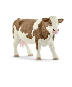 Simmental Cow