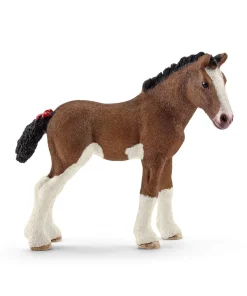 Clydesdale Foal