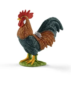 Rooster