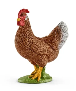 Hen