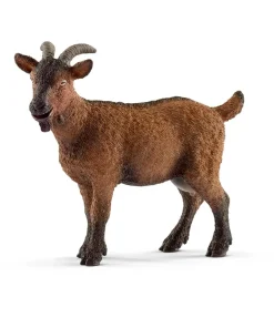 Goat