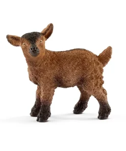 Goat Kid