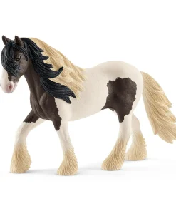 Tinker Stallion