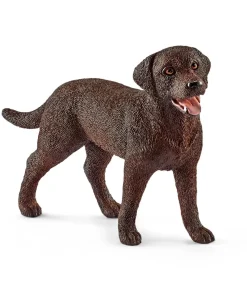 Labrador Retriever Female