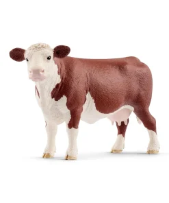 Hereford Cow
