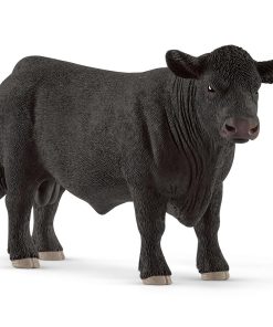 Black Angus Bull