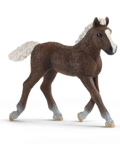Black Forest Foal