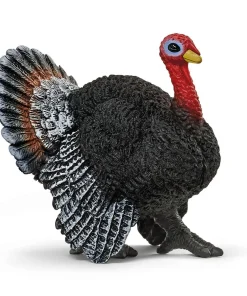 Turkey