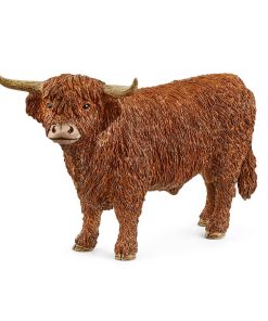 Highland Bull