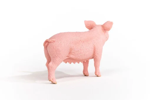 Pig - Image 3