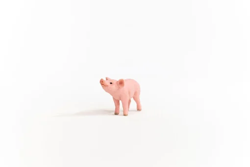 Piglet - Image 2