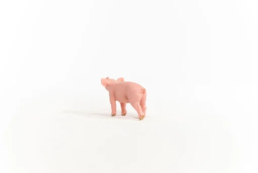 Piglet - Image 3