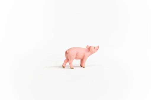 Piglet - Image 4