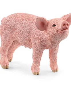 Piglet