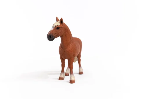Belgian Draft Horse - Image 2