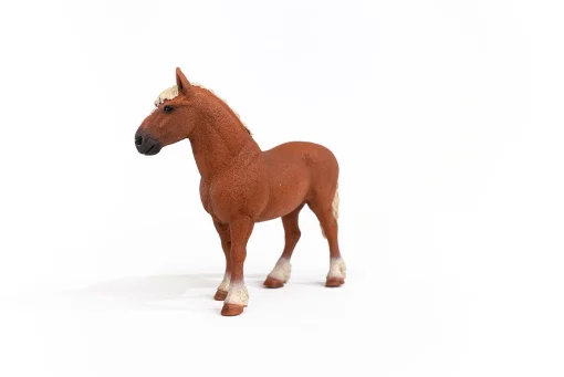 Belgian Draft Horse - Image 3