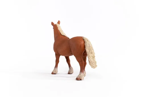 Belgian Draft Horse - Image 4