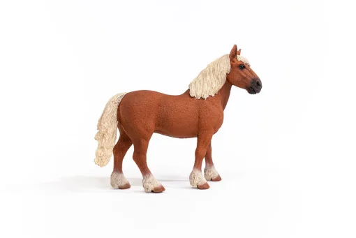 Belgian Draft Horse - Image 5