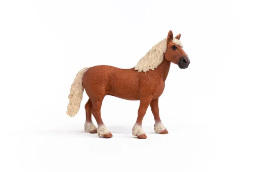 Belgian Draft Horse - Image 6