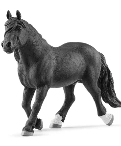 Noriker Stallion