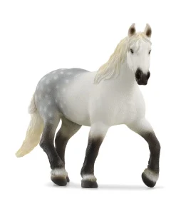 Percheron Mare