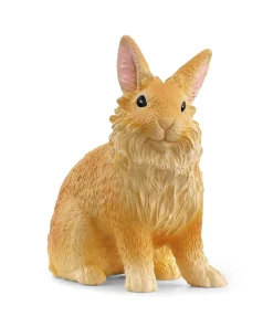 Lionhead Rabbit