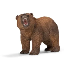Grizzly Bear