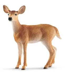 White-Tailed Doe