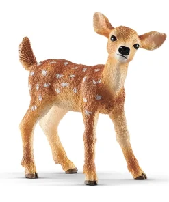 White-Tailed Fawn