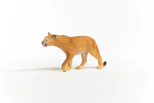 Cougar - Image 2