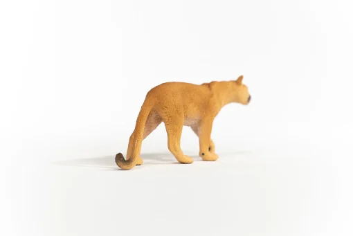 Cougar - Image 3