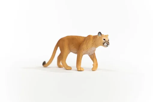 Cougar - Image 4