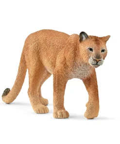 Cougar