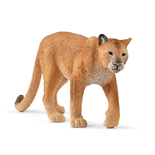 Cougar