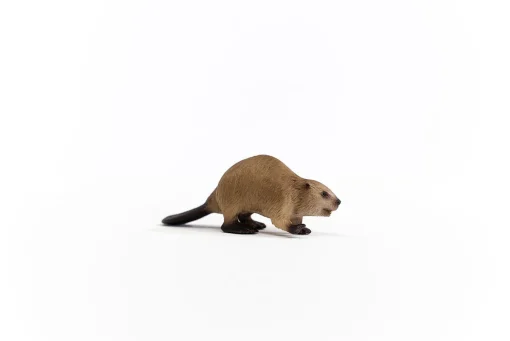 Beaver - Image 3