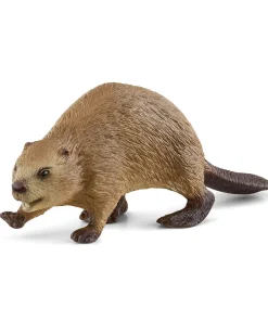Beaver