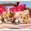 Creart - Two Cuddly Cats - Paint by Numbers for Children