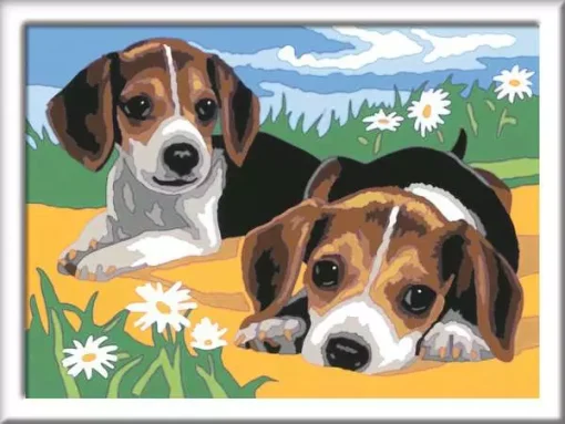 Creart - Jack Russel Puppies - Paint by numbers for kids 7 years up