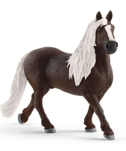 Black Forest Stallion