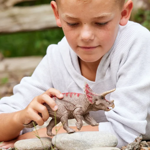 Triceratops - Image 2
