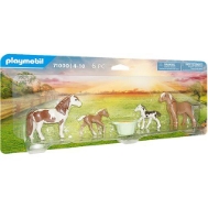 PLAYMOBIL 71000 Riding Lessons Icelandic Ponies with Foals