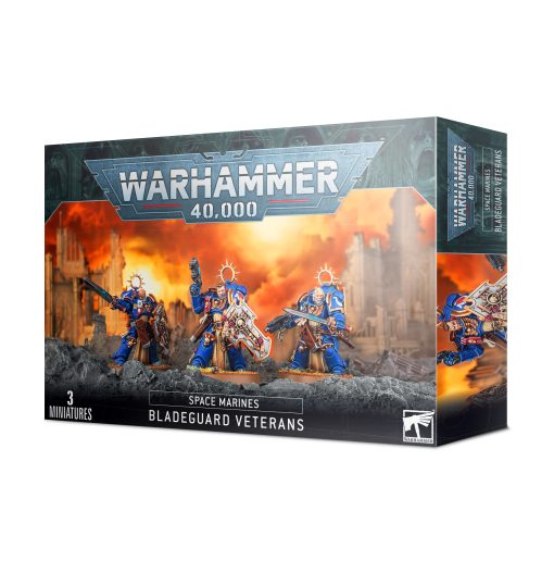 SPACE MARINES - Bladeguard Veterans
