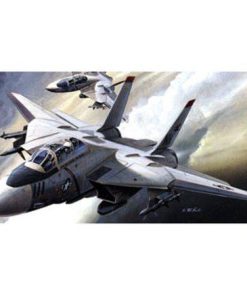 4434 1/144 F-14 Tomcat